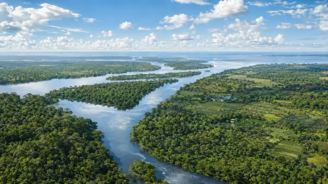 Aerial reconstruction of the Amazon basin: a broad meandering river braiding through unbroken green forest to the horizon.