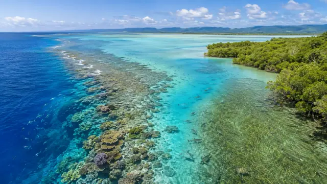 Aerial reconstruction of the Great Barrier Reef: banded turquoise and green reef structure running along a shallow shelf beside mangrove coastline.